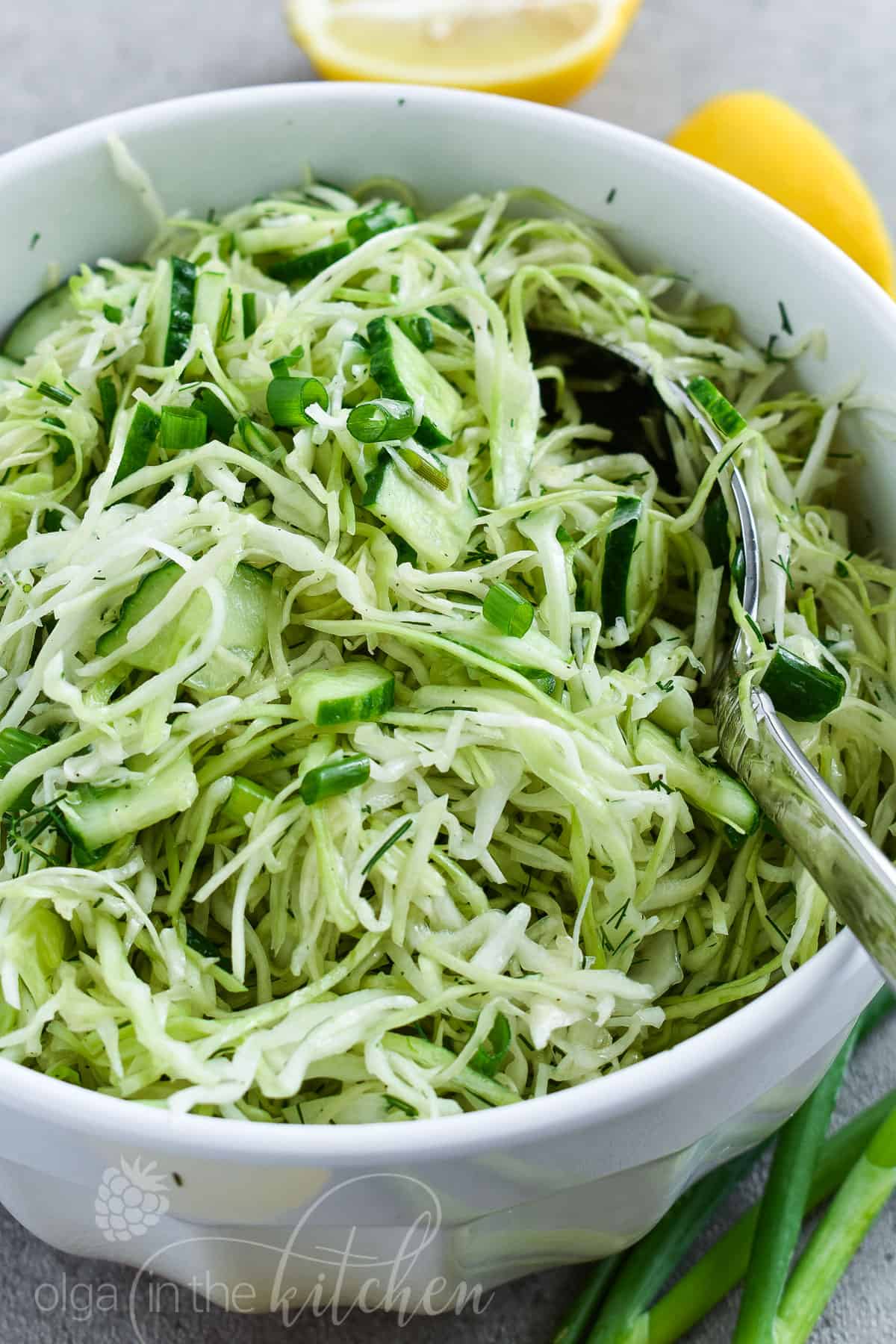 Cabbage